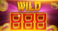 Wild 888